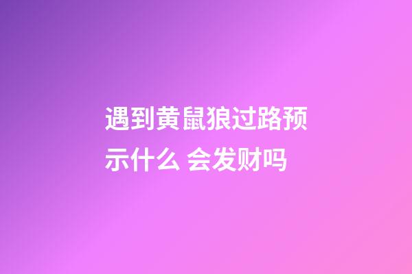 遇到黄鼠狼过路预示什么 会发财吗